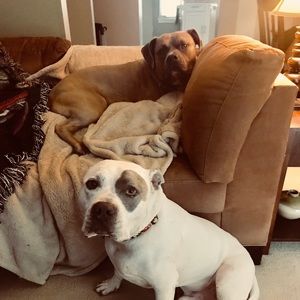 Meet your Posher, Jillian